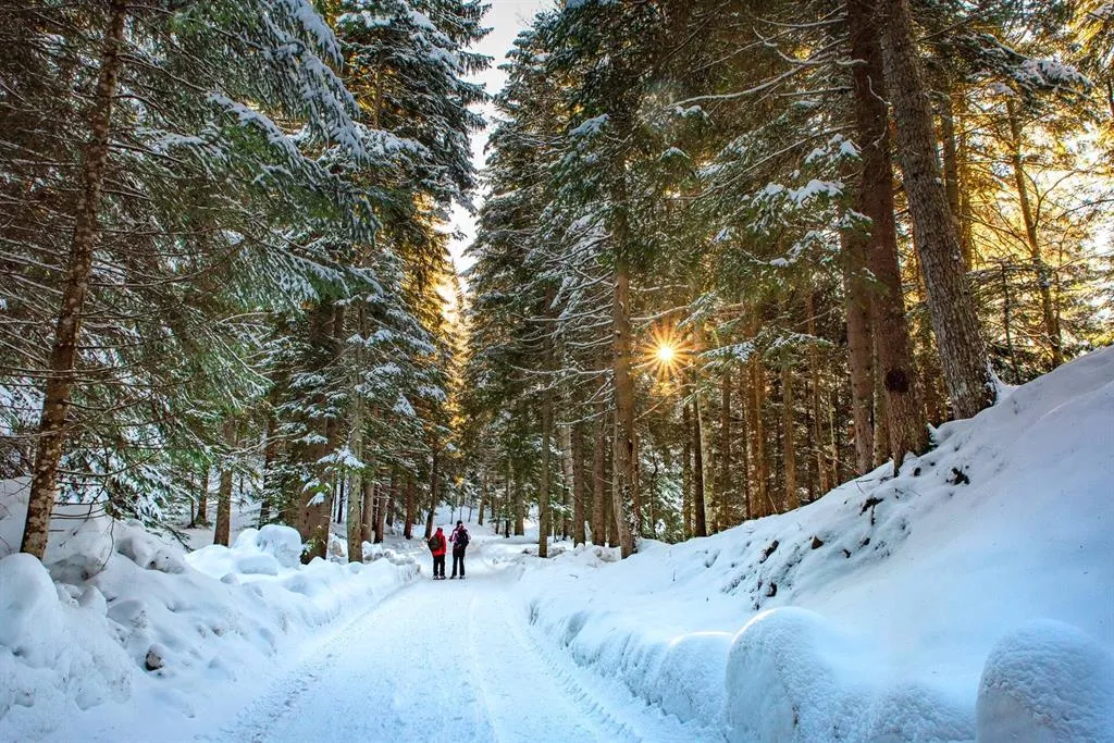 Offerta winter start